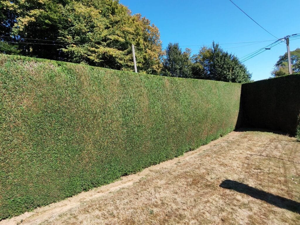 Les-paysages-normands - Entretien des Espaces Verts : Guide Complet pour un Jardin Professionnel - Featured Image 1