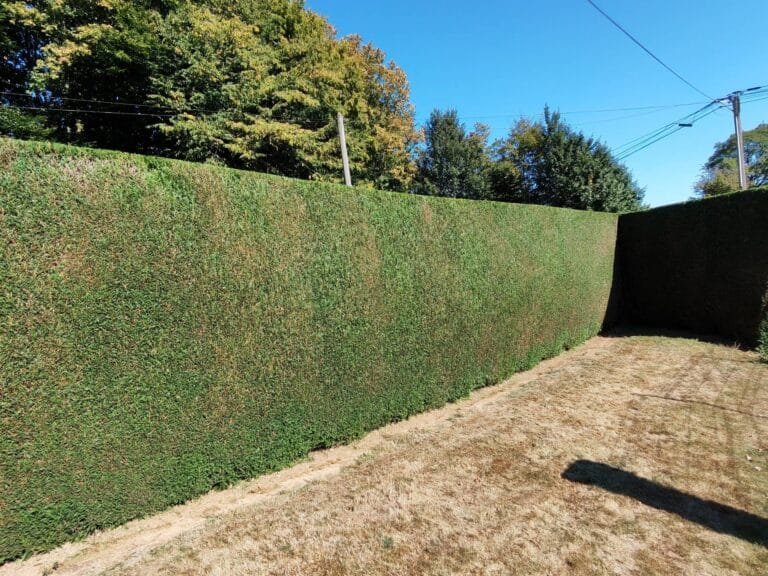 Les-paysages-normands - Entretien des Espaces Verts : Guide Complet pour un Jardin Professionnel - Featured Image 1